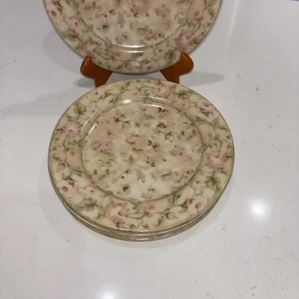 222 Fifth Savannah by Cheri Blum Stoneware Salad Plates Set of 4